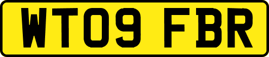 WT09FBR