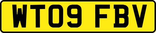 WT09FBV