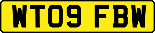 WT09FBW