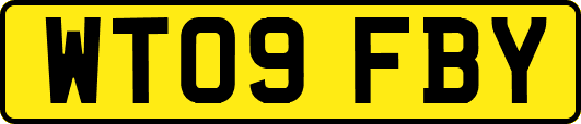 WT09FBY