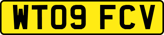 WT09FCV
