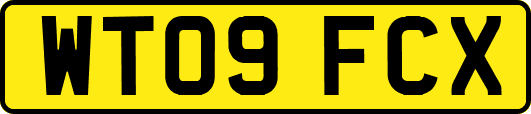 WT09FCX