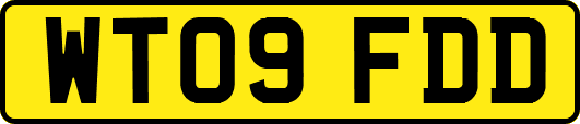 WT09FDD