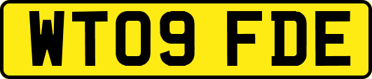WT09FDE