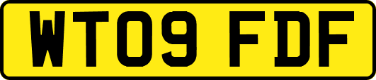 WT09FDF