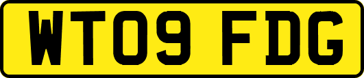WT09FDG