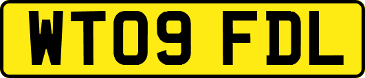 WT09FDL