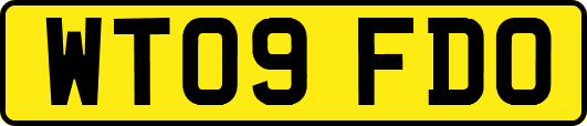WT09FDO