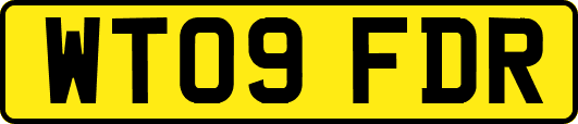 WT09FDR