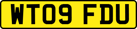 WT09FDU