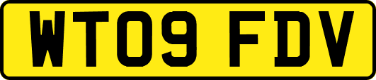WT09FDV