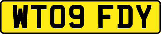 WT09FDY