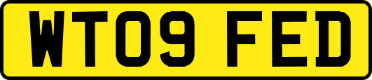 WT09FED