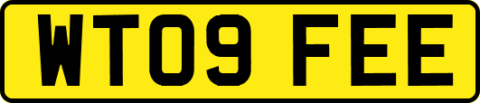 WT09FEE