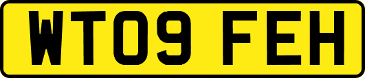 WT09FEH