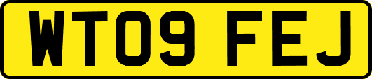 WT09FEJ