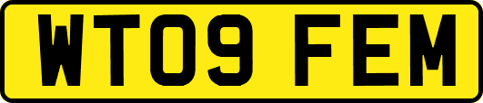 WT09FEM