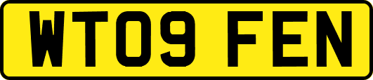 WT09FEN
