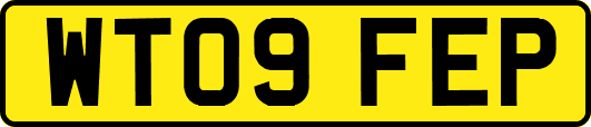 WT09FEP