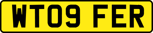 WT09FER