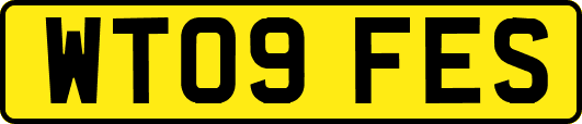 WT09FES