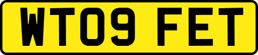 WT09FET