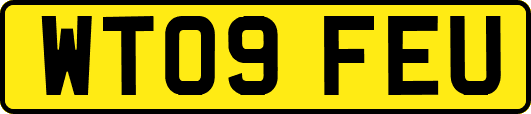 WT09FEU