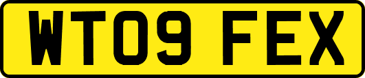 WT09FEX