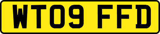 WT09FFD