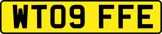 WT09FFE