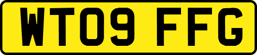 WT09FFG