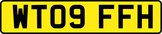 WT09FFH