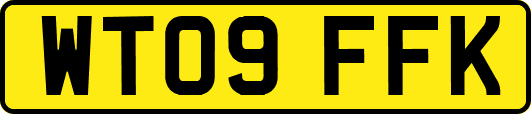 WT09FFK