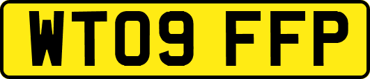 WT09FFP