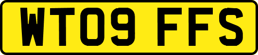 WT09FFS