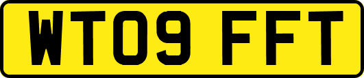 WT09FFT