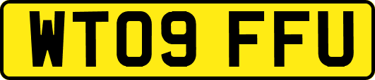 WT09FFU