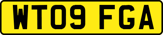 WT09FGA