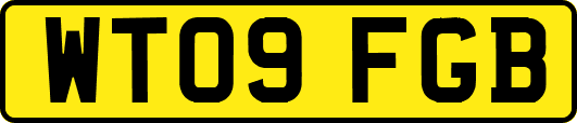 WT09FGB