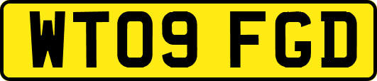 WT09FGD
