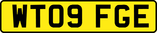 WT09FGE