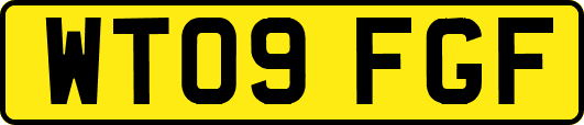 WT09FGF