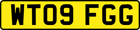 WT09FGG