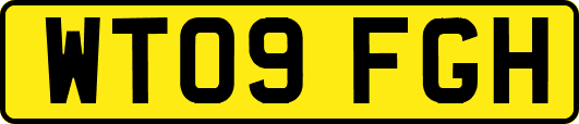 WT09FGH
