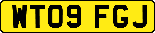 WT09FGJ