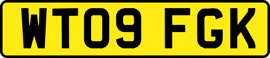 WT09FGK
