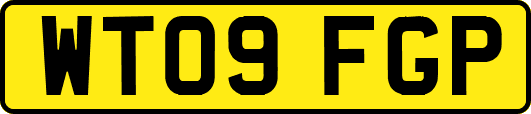 WT09FGP