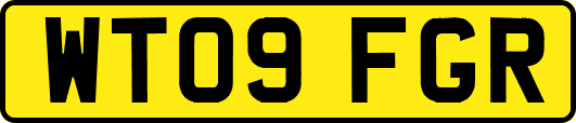 WT09FGR