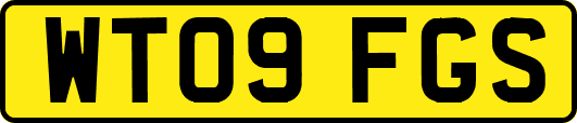 WT09FGS