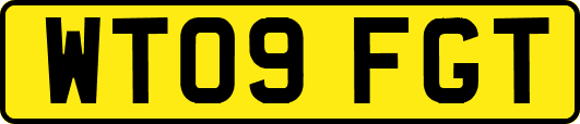 WT09FGT